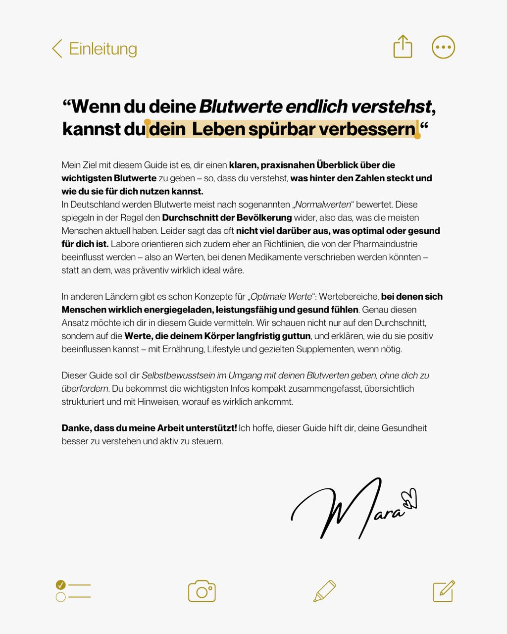 Blutwerte-Guide