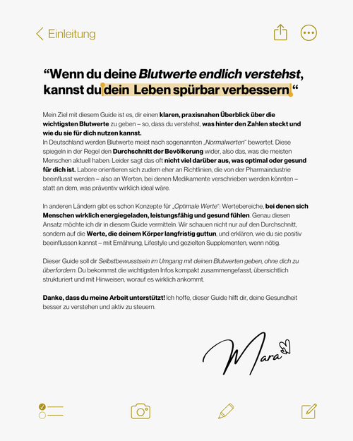 Blutwerte-Guide
